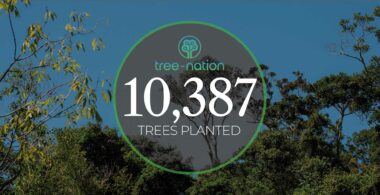 World Earth Day 2024: Shackletons Plants 10,000 Trees