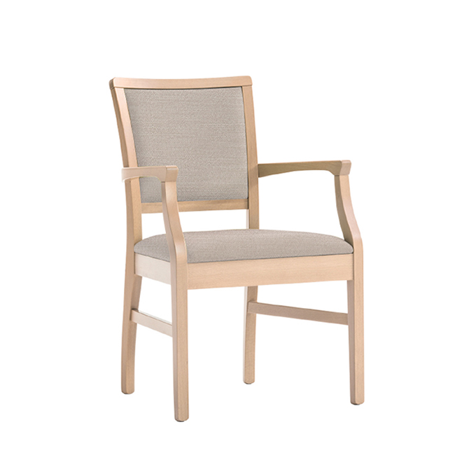 Arezzo Dining Arm Chair